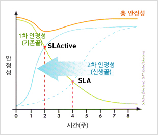 SLActive 약2주후 SLA의 4주보다 더 안정적인 모습을 보이는 그래프